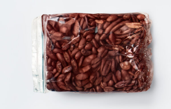 طعم قمح للقوارض