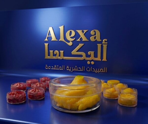 بيت ستيشن